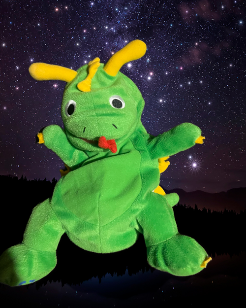 Baby Einstein Singing Dragon Rare plush doll